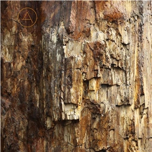 Brown Petrified Wood Tile,Agate Semiprecious Stone