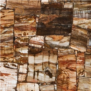 Brown Petrified Wood Tile,Agate Semiprecious Stone