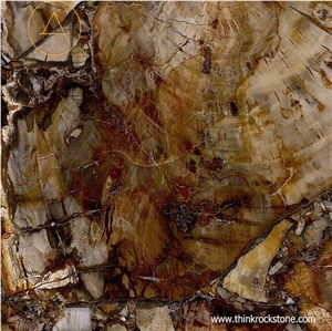 Brown Petrified Wood Tile,Agate Semiprecious Stone