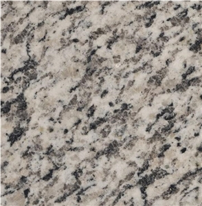 Tiger Skin White Yellow Granite Vanity Tops