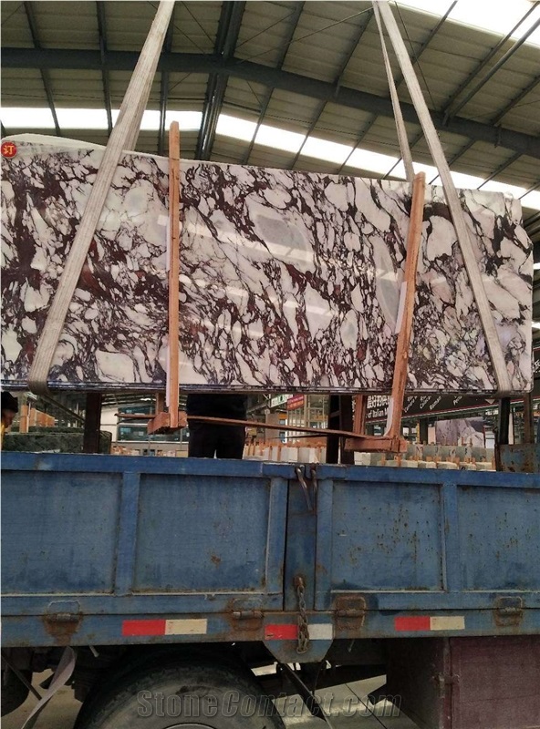 Calacatta Violet Marble