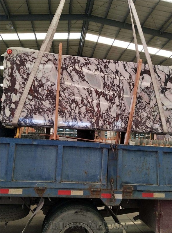 Calacatta Violet Marble