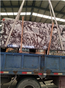 Calacatta Violet Marble