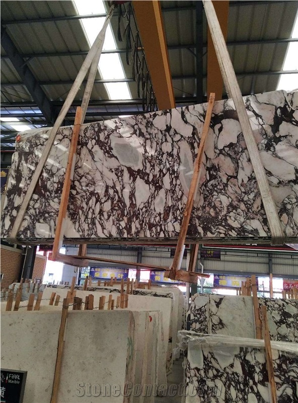 Calacatta Violet Marble