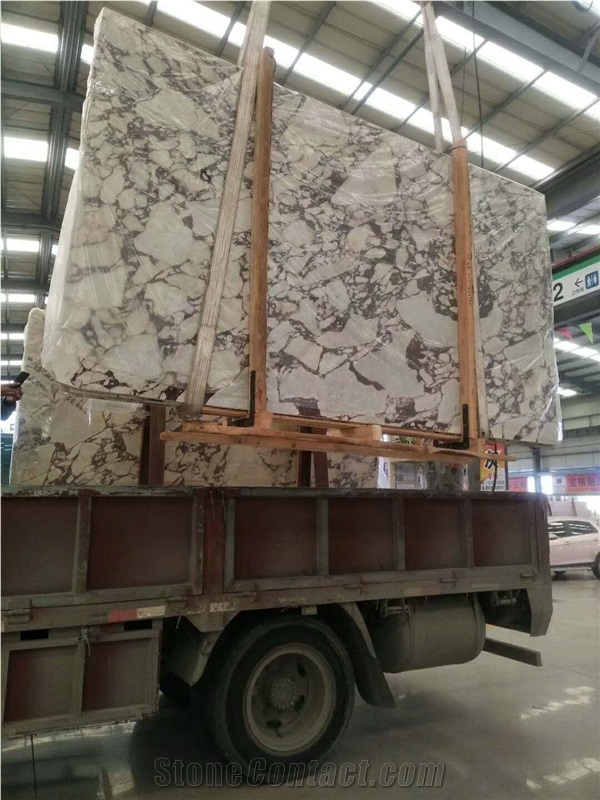 Calacatta Violet Marble