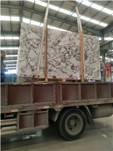 Calacatta Violet Marble