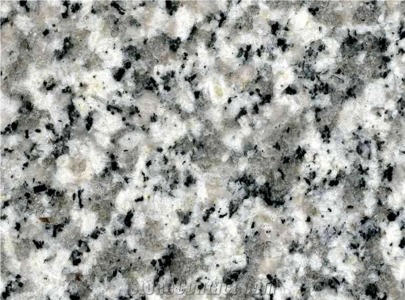 China Polished Counter White Granite Tile and Slab
