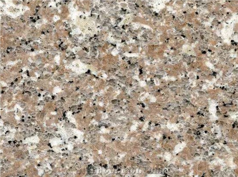 China Polished G648 Granite Slab and Tiles