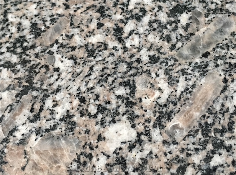 China Polished Royal Brown Granite Slab and Tile