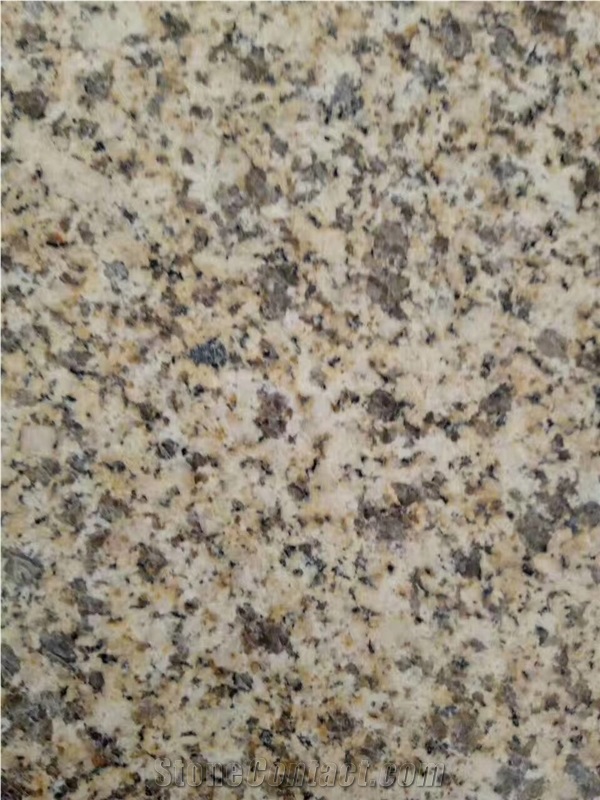 Polished China New Giallo Ornamentale Granite Tile