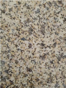 Polished China New Golden Ornamental Granite Slab