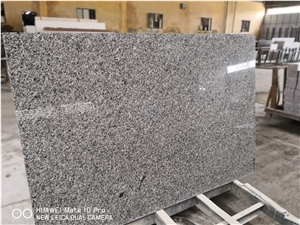 Polished China Swan Blue Granite Slab and Tile