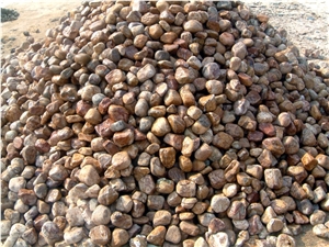 Rain Forest Brown Marble Tumbled Mosaic
