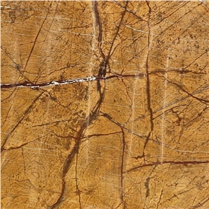 Rain Forest Gold Marble Slabs & Tiles