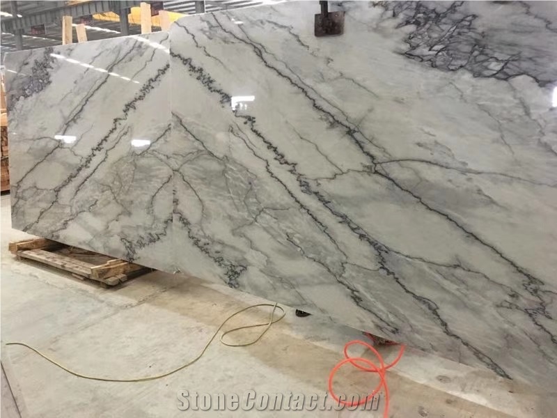 Armani Silver Marble Slabs Walling Flooring Tiles