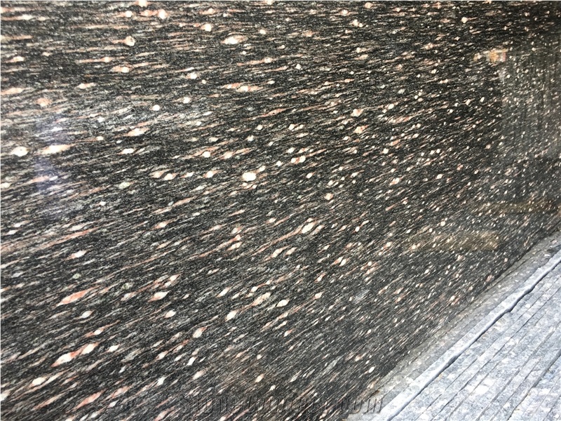Black Night Granite with Red Tadpole Slabs Tiles