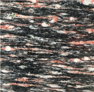 Black Night Granite with Red Tadpole Slabs Tiles