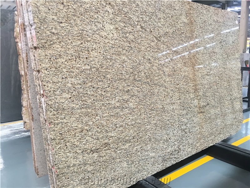 Brazil Giallo Napoleon Granite Slabs Flooring Tile