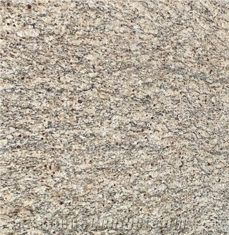 Brazil Giallo Napoleon Granite Slabs Flooring Tile