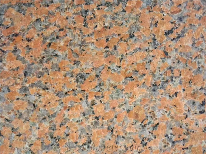 Chinese G562 Maple Nuoer Red Granite Slabs Tiles