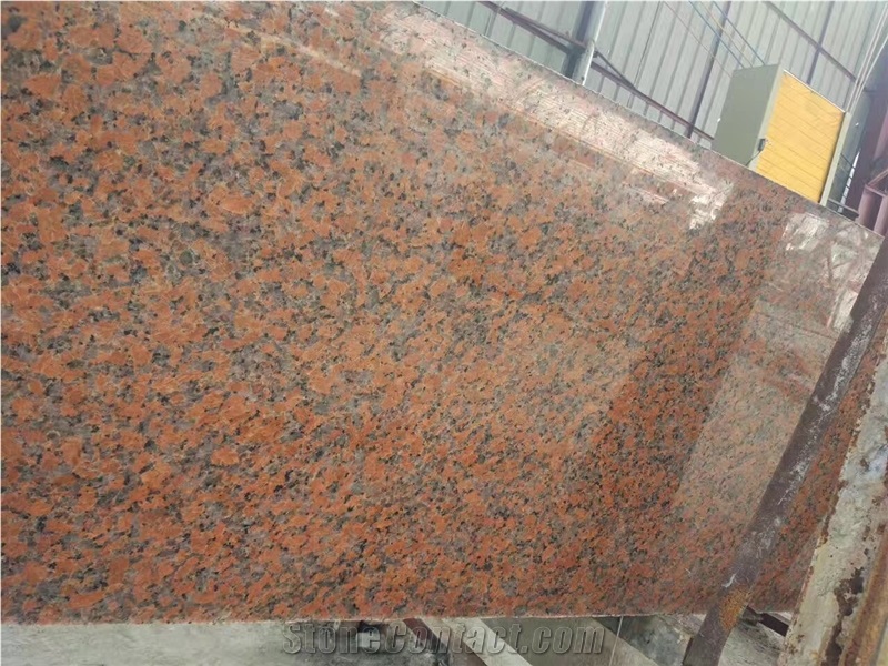G562 Maple Rojo Red Granite Slabs Floor Tiles