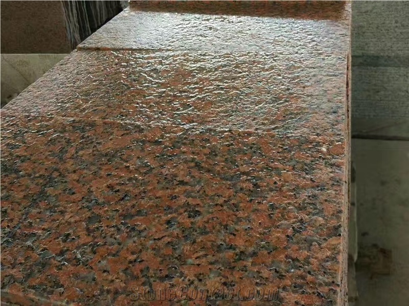 G562 Maple Rojo Red Granite Slabs Floor Tiles