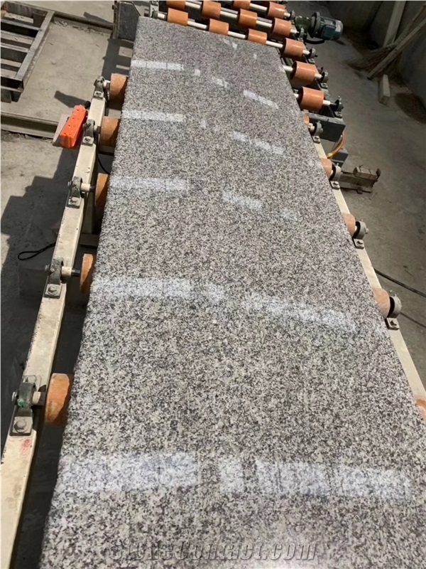 G602 Bianco Sardo Grey Granite Slabs Floor Tiles