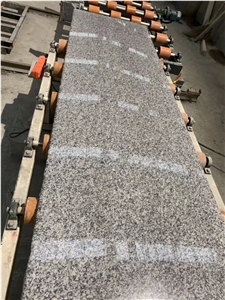 G602 Bianco Sardo Grey Granite Slabs Floor Tiles