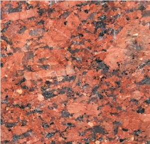 Indian Karimnagar Maple Red Granite Slabs Tiles Indian Karimnagar Maple Red Granite Slabs Tiles