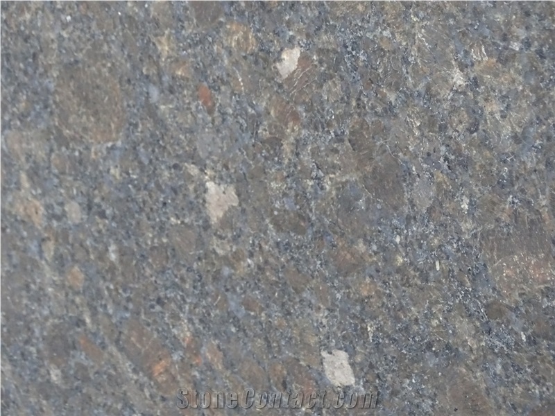 Coffee Brown Granite Slabs