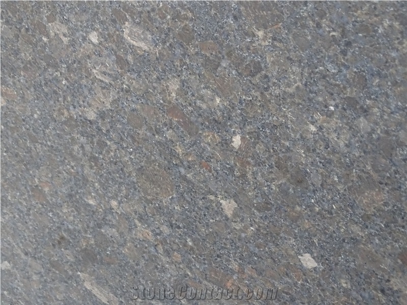 Coffee Brown Granite Slabs
