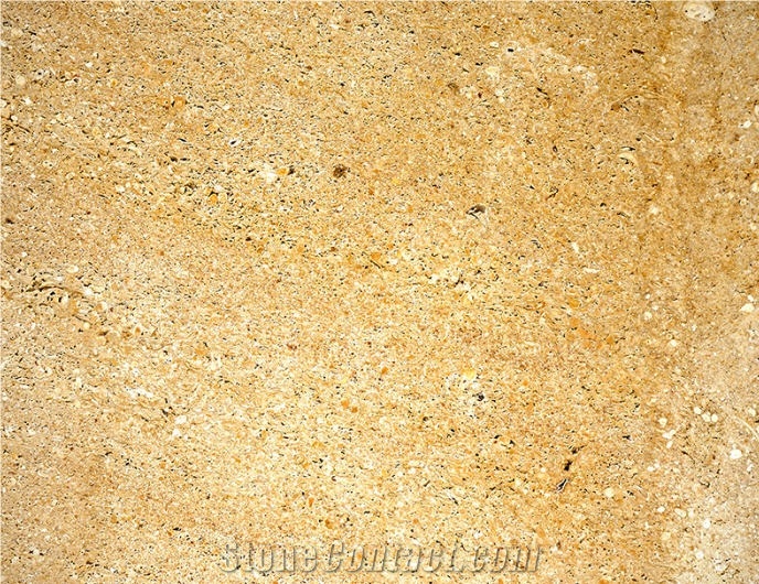 Amarillo Fosil Wall Tiles