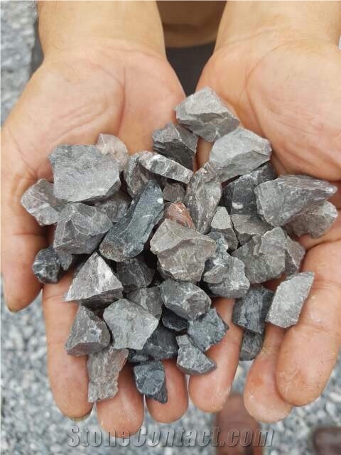 Chip Stone
