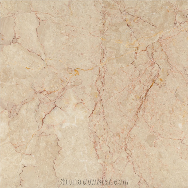 Dalya Rose Marble Tiles & Slabs
