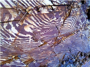 Zebra Rock Mine for Sale