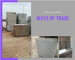 Foussana Grey Marble Block, Tunisia Grey Marble