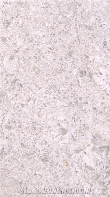 White Vera Marble Slabs, Tiles