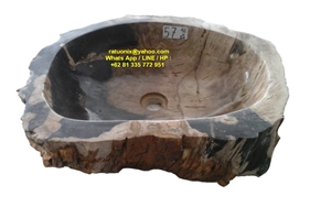 Sink Petrified Wood, Wash Basins Petrified Wood
