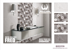 Ceramic Wall Tiles 300*450