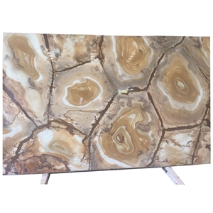 Exotic Natural Palomino Espinella Quartzite Tiles