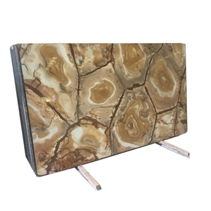 Exotic Natural Palomino Espinella Quartzite Tiles