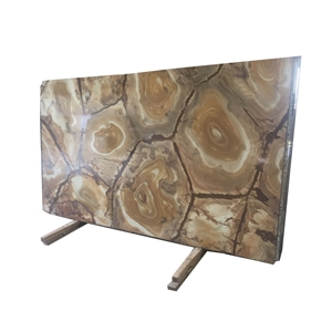 Exotic Natural Palomino Espinella Quartzite Tiles