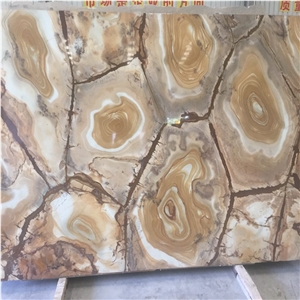 Large Brazil Solid Quartzite Slab with Golden
