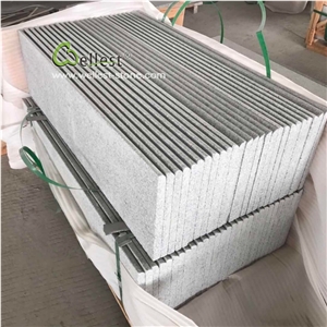 Cheap Grey Granite Bullnose Stairs Treads Risers