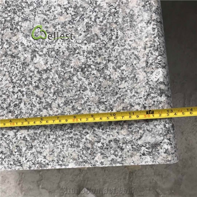 Cheap Grey Granite Bullnose Stairs Treads Risers