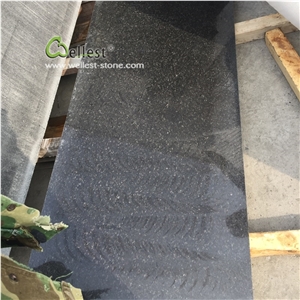 New Good Price China Polished Black Granite Tiles