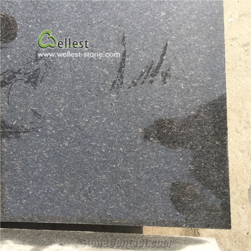 New Good Price China Polished Black Granite Tiles