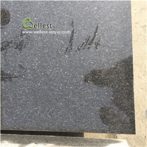 New Good Price China Polished Black Granite Tiles