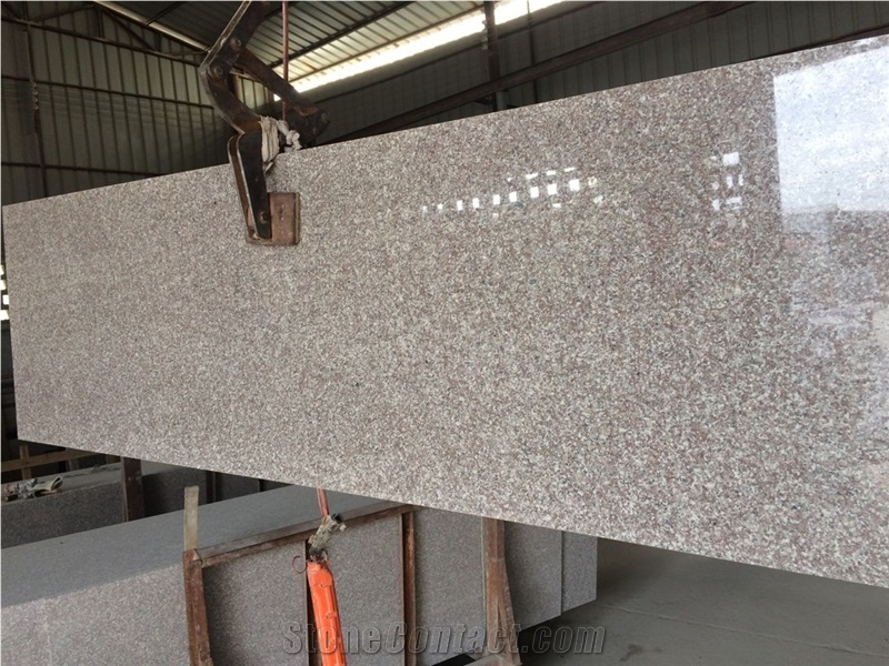 New G664 Brown Granite Slabs Cheap Prices