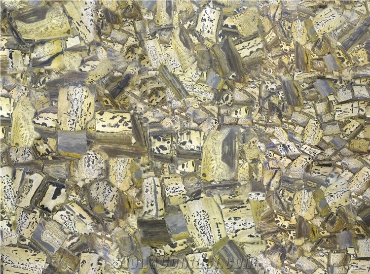 Semi Precious Yellow Fossil Translucent Slab